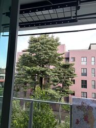 Canberra Residences (D27), Condominium #533981771